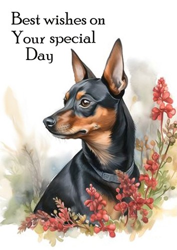 Miniature pinscher dog - miniature,