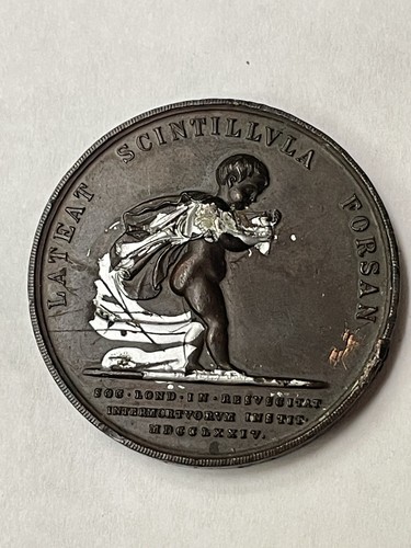 Royal humane society bronze - society,