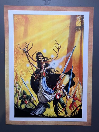 Warhammer the old world - |, |