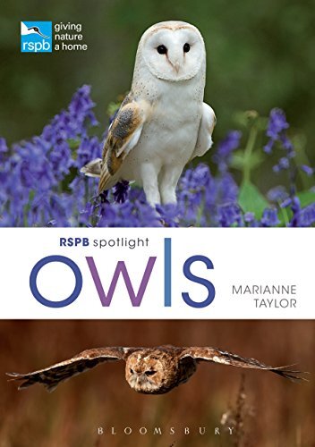 Rspb spotlight owls marianne - rspb, owls-marianne