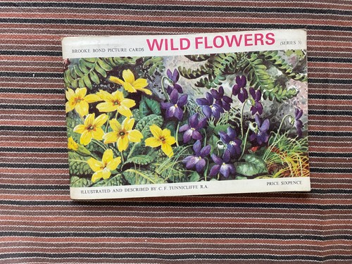 1964 wild flowers - flowers, 3