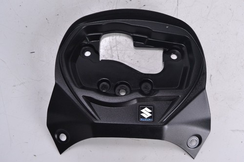Speedo clock fairing cowl