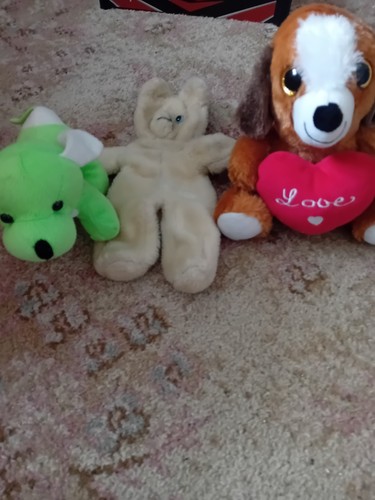 Dog plushies - ,