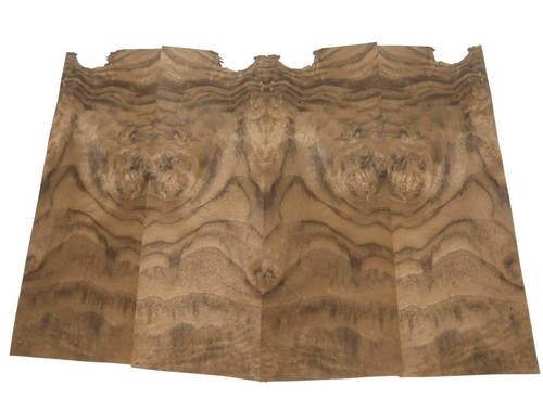 Walnut root wood - walnut, inlays
