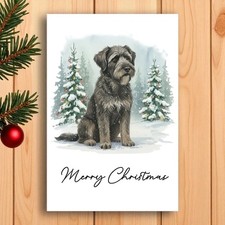 Bouvier des Flandres Christmas