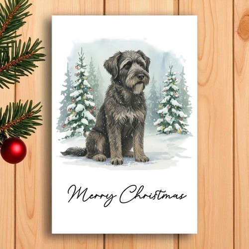Bouvier des flandres christmas - bouvier,
