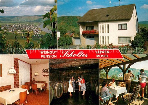 Leiwen moselle winery pension - leiwen,