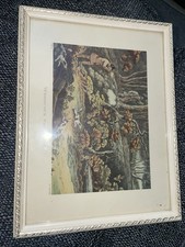 Rare woodcock shooting - rare,