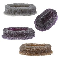 Clam & Anemone Cradle Bed