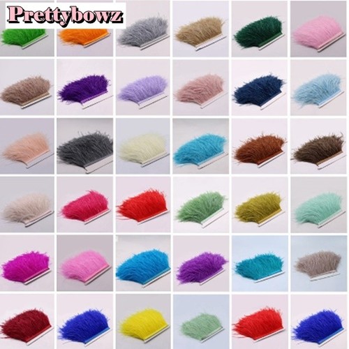 High quality ostrich feather - ostrich,
