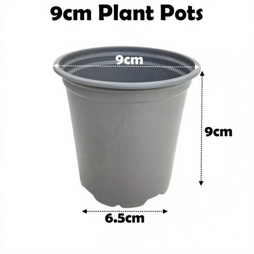 9cm plant pots grey plastic - plant,