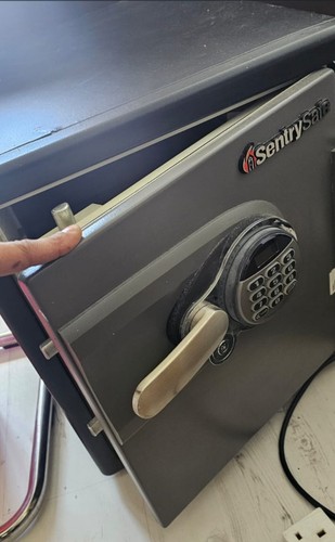 Sentrysafe digital safe - sentrysafe,