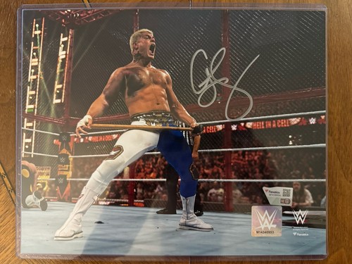 Cody rhodes wwe - rhodes,