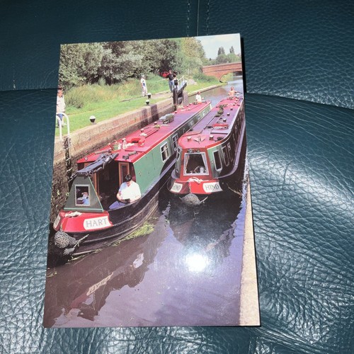 Postcard hind hart - ,