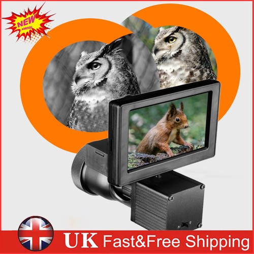 Fire wolf display - fire,