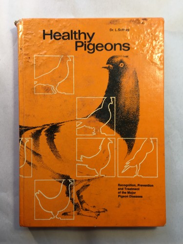 Healthy pigeons - healthy,