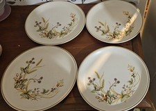 4 x  Harvest Dinner Plates