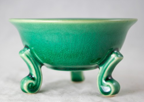 Fine round green cactus - fine,