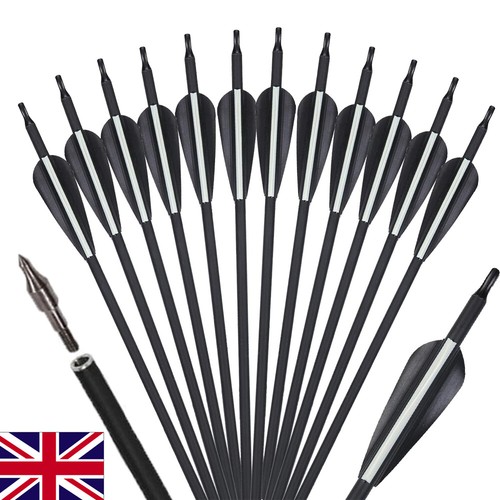 12pcs carbon arrows - 12pcs,