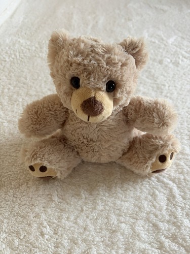 Teddy bear soft cuddly plush - cuddly,