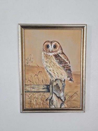 Original trewartha owl oil - d,