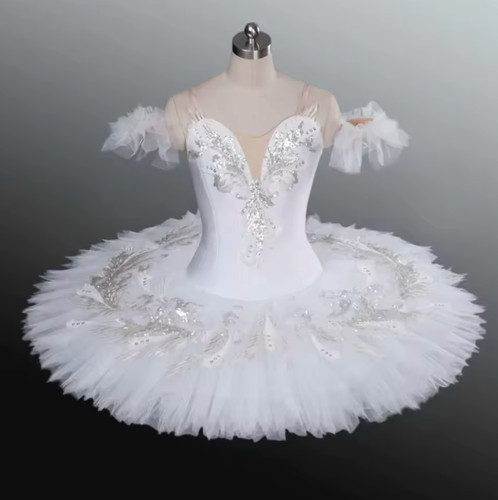 Classic professional ballet - classic,