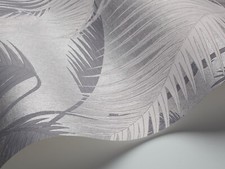 Cole son palm jungle - cole,