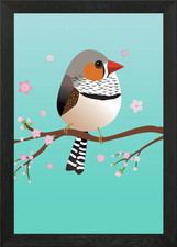 Cute zebra finch Framed Wall