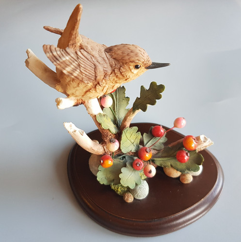Country artists bird - bird, wrens