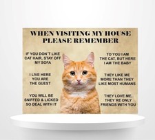 Funny Ginger Cat House Rules