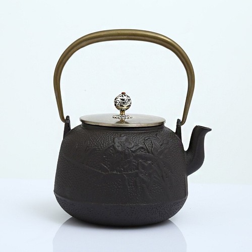 Cast iron teapot - iron,