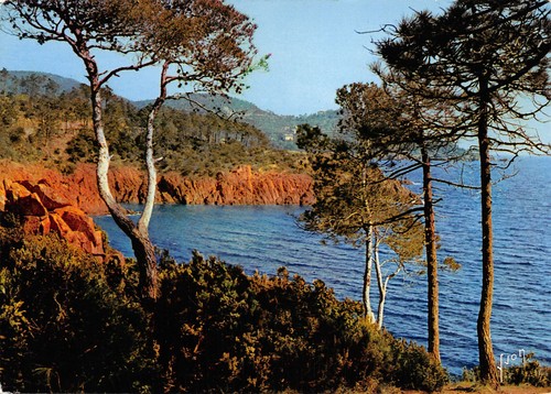 Esterel 3309 a 0077 - 83-l, -n�3309-a/0077
