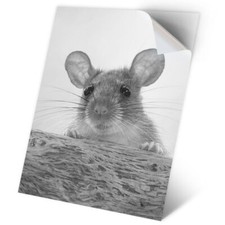 1 x Vinyl Sticker A2 - BW - Cute Wild Mouse Rat Rodent #35583