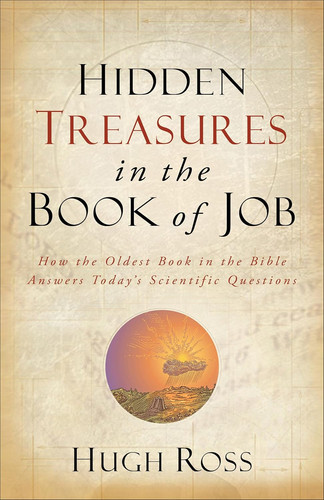 Hidden treasures the book - hidden,
