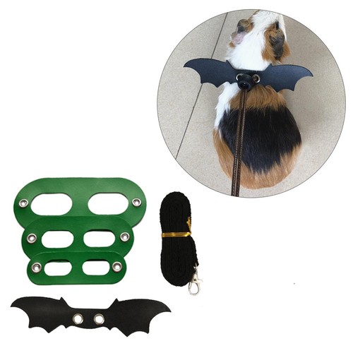 Lizard leash for other - lizard, small