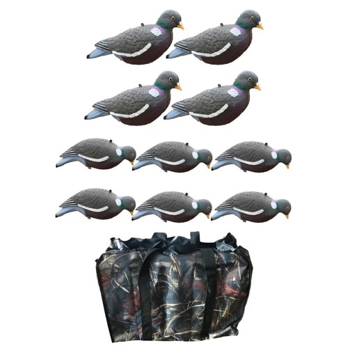 High definition pigeon - definition,