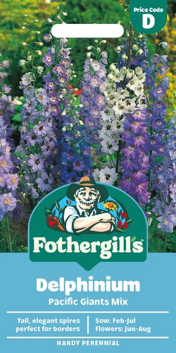 Delphinium pacific giants - delphinium,