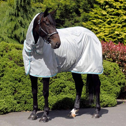 Masta vento horse - horse, rug