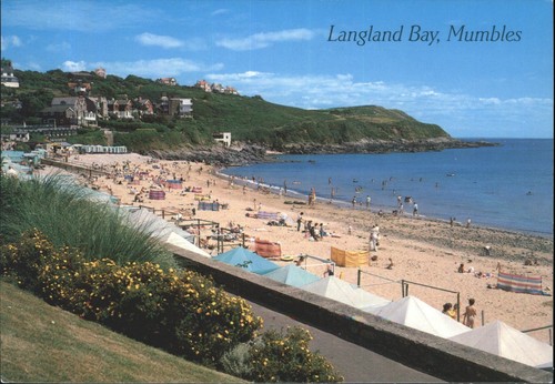 Salmon langland bay mumbles - j,