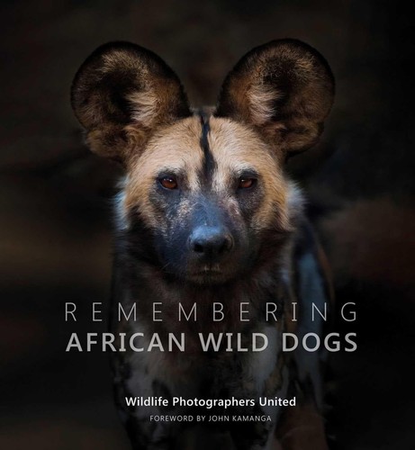 Remembering african wild - wild, dogs