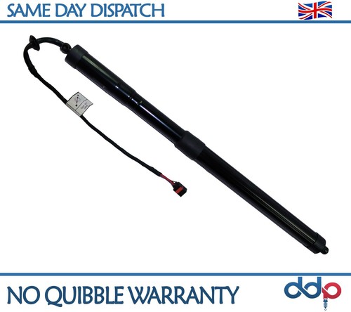 Tailgate boot lid gas - boot,