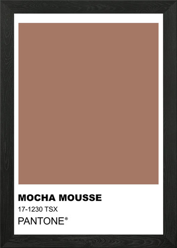 Mocha mousse pantone color - mocha,