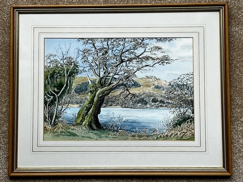 Old oak beside - oak,