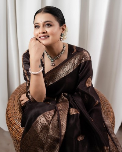 Indian saree blouse - saree,