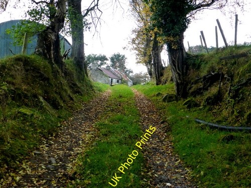 Photo 6x4 lane carony - 6x4,