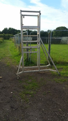Youngman p1500 podium - p1500,