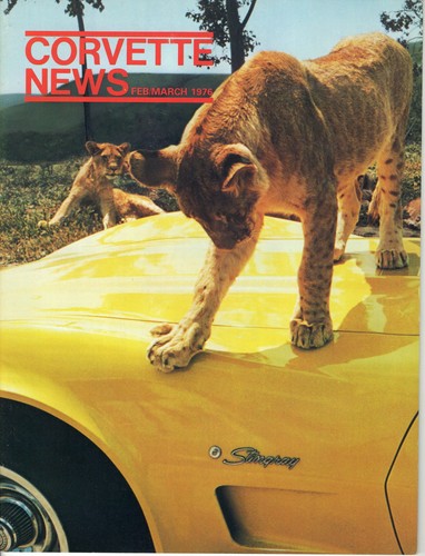 Young cub knows corvette - cub,