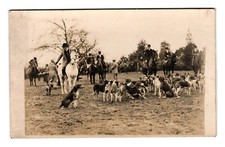 Fox Hounds English Hunt Meet