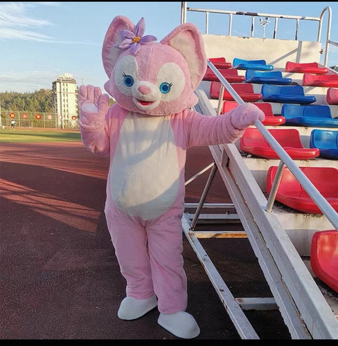 Pink bei mascot - costume, party