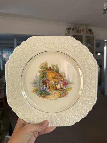 Rare vintage decorative plate - vintage,